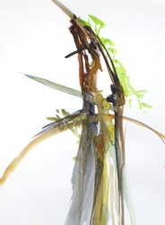 Thumbnail Image 1